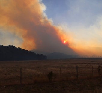 Feliz Fire Explodes to 500 Acres Near Hopland, Triggers Emergency Evacuations
