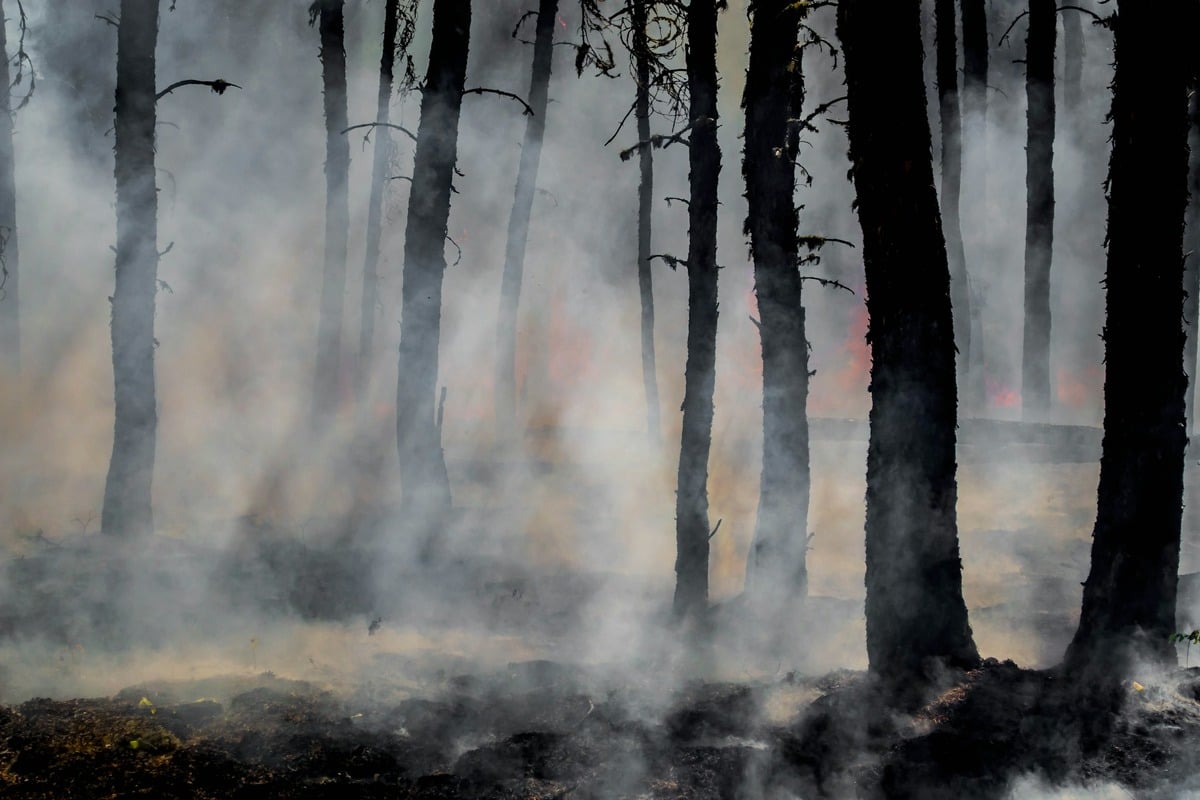 Firefighters Box In Thousand Oaks Kanan Fire Near North Ranch Homes
