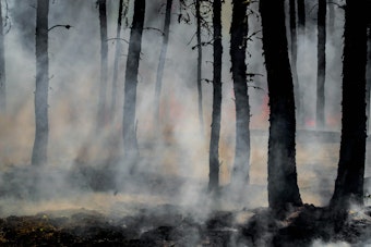 Firefighters Box In Thousand Oaks Kanan Fire Near North Ranch Homes