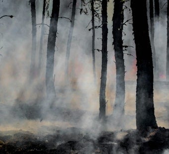Firefighters Box In Thousand Oaks Kanan Fire Near North Ranch Homes