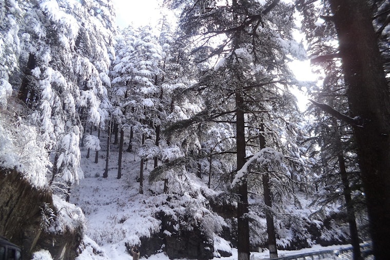 First Snow Dusts Crystal Mountain, but Washington's Big Season Opener Waits Until December