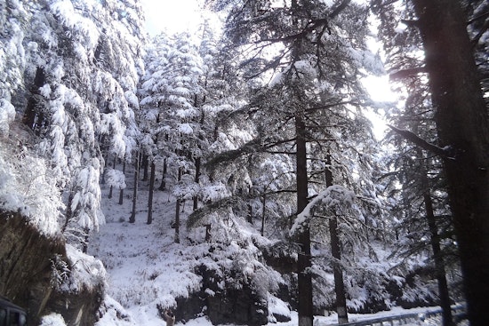 First Snow Dusts Crystal Mountain, but Washington's Big Season Opener Waits Until December
