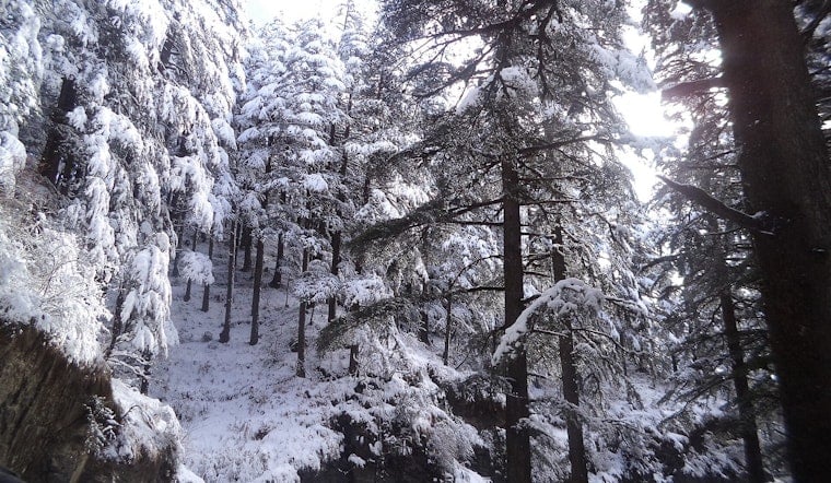 First Snow Dusts Crystal Mountain, but Washington's Big Season Opener Waits Until December