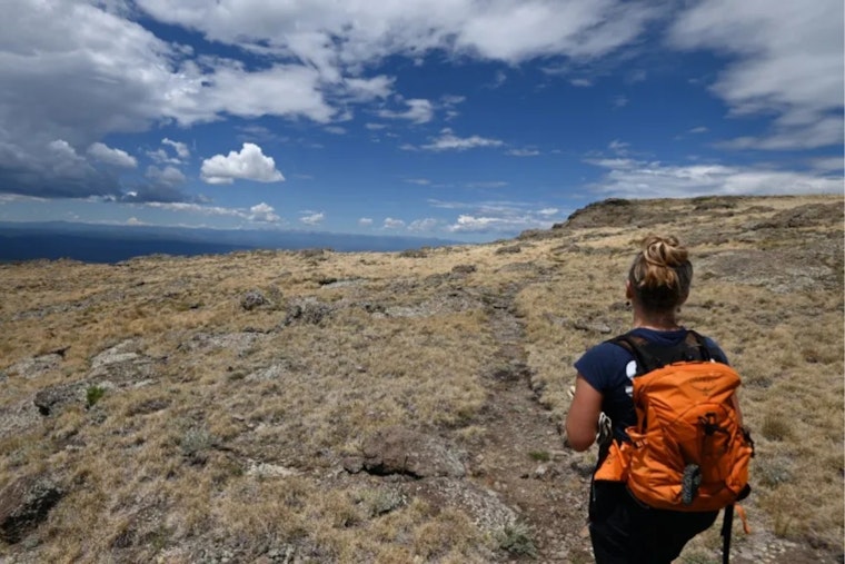 Fishers Peak Summit Trail Reopens After Falcons Fledge for Fifth Year