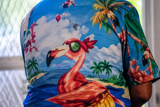 Flamingo-Shirt Bandit Hits Same St. Lucie County Home Twice in One Day