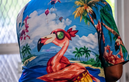 Flamingo-Shirt Bandit Hits Same St. Lucie County Home Twice in One Day