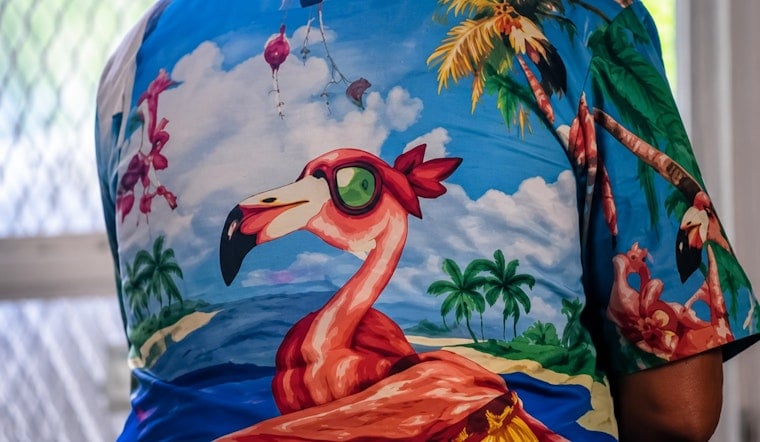 Flamingo-Shirt Bandit Hits Same St. Lucie County Home Twice in One Day