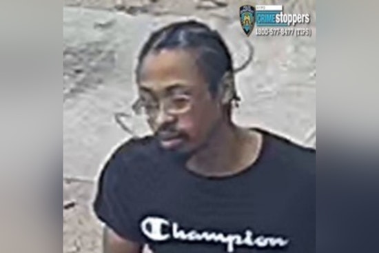 Flatlands Attacker Bites Woman, 37, From Behind, Flees Up Albany Avenue