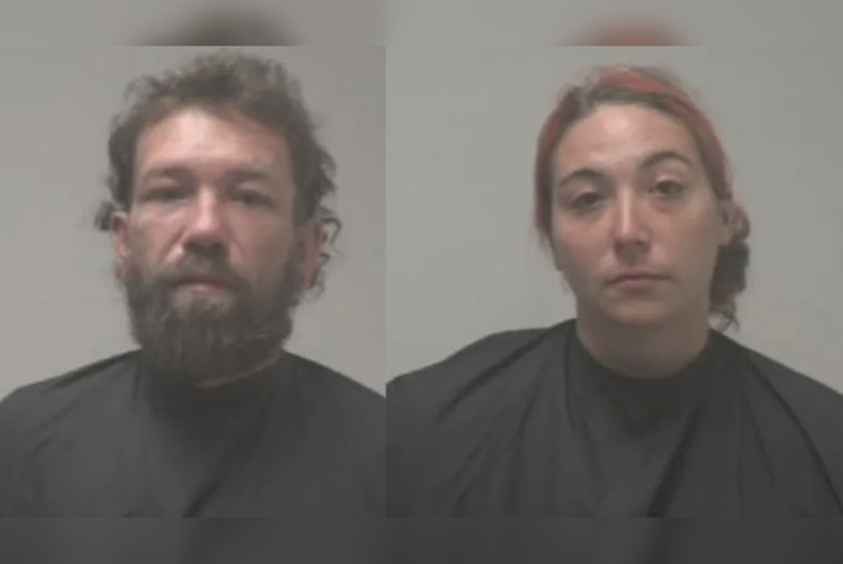 Flock Cameras Track Truck With Six Kids and Pets to Georgia, Two Charged