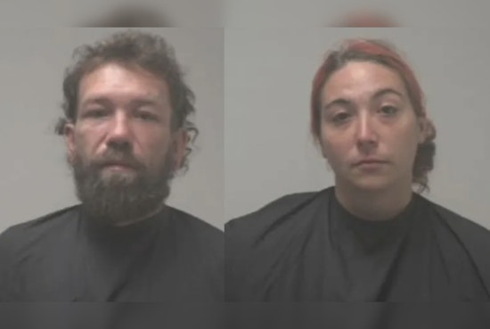 Flock Cameras Track Truck With Six Kids and Pets to Georgia, Two Charged