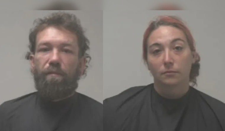 Flock Cameras Track Truck With Six Kids and Pets to Georgia, Two Charged
