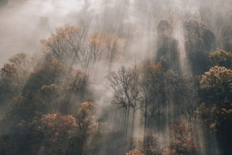 Foggy Charlotte Morning Burns Off Into Sun-Soaked, Storm-Free Sunday