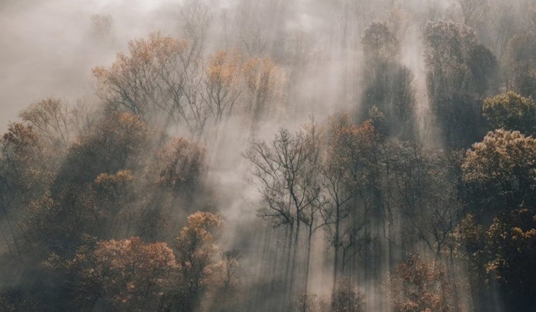 Foggy Charlotte Morning Burns Off Into Sun-Soaked, Storm-Free Sunday