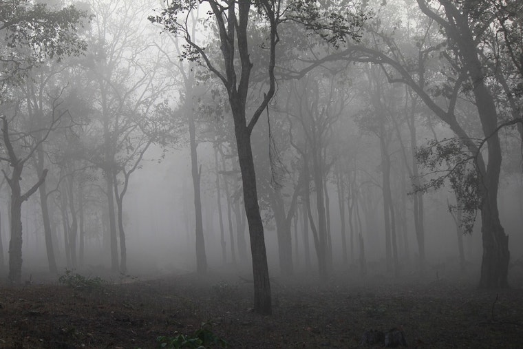 Foggy Milwaukee Morning Clears Before Storm-Soaked Weekend