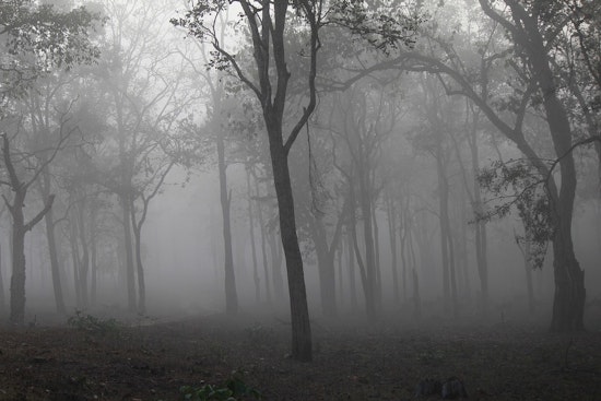 Foggy Milwaukee Morning Clears Before Storm-Soaked Weekend