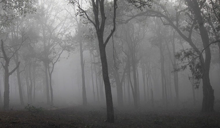Foggy Milwaukee Morning Clears Before Storm-Soaked Weekend