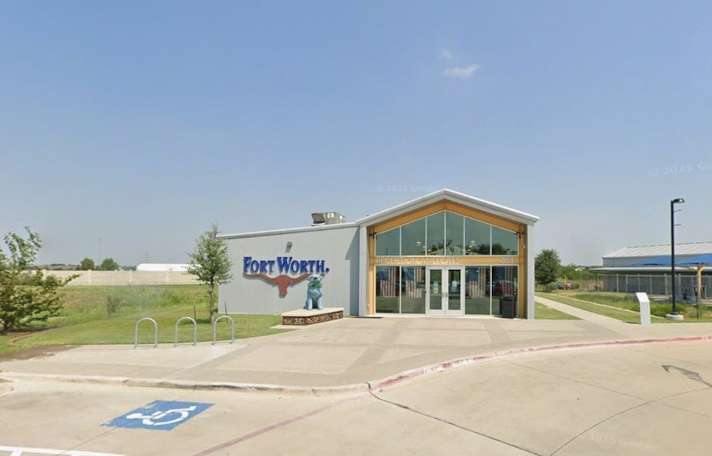 Fort Worth Waives All Pet Adoption Fees Saturday at Henry's Animal Campus