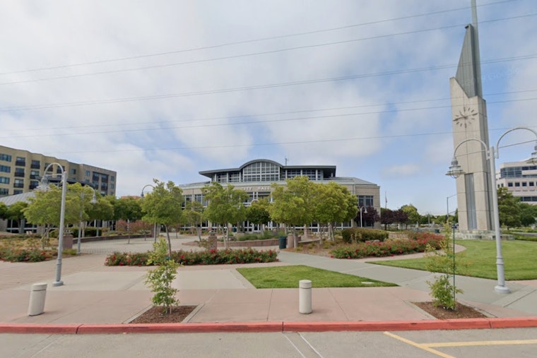 Foster City Hides 55 Rubber Ducks For Summer Days Prizes