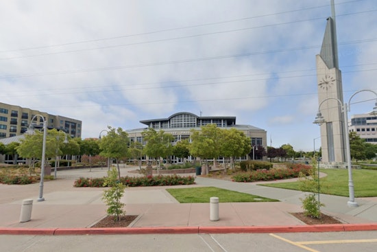 Foster City Hides 55 Rubber Ducks For Summer Days Prizes