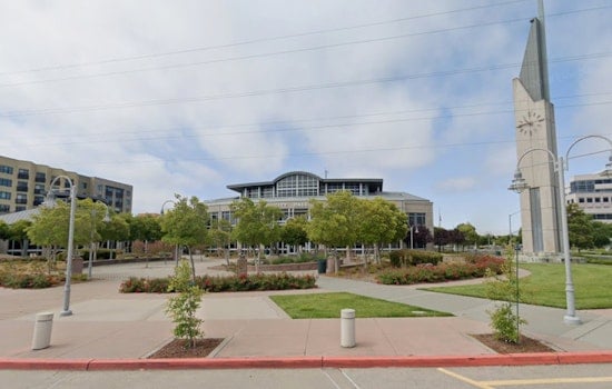 Foster City Hides 55 Rubber Ducks For Summer Days Prizes