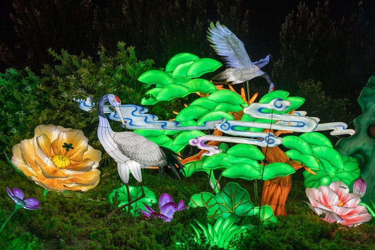 Franklin Park Zoo's Boston Lights Returns With Penguins, Sharks and a Crow-Wielding Skeleton