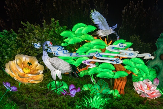 Franklin Park Zoo's Boston Lights Returns With Penguins, Sharks and a Crow-Wielding Skeleton