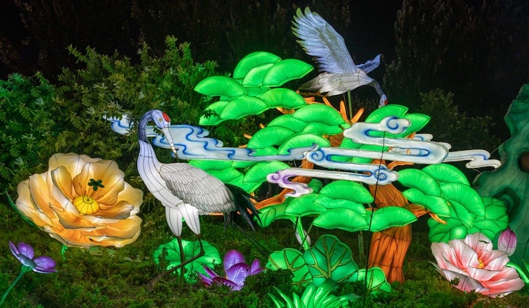 Franklin Park Zoo's Boston Lights Returns With Penguins, Sharks and a Crow-Wielding Skeleton
