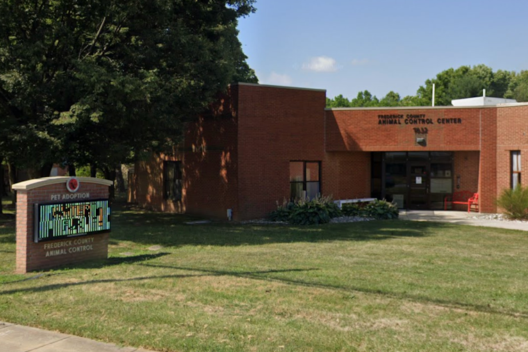 Frederick's Revamped Pet Adoption Center Opens With Cage-Free Cat Rooms and Surgery Suites