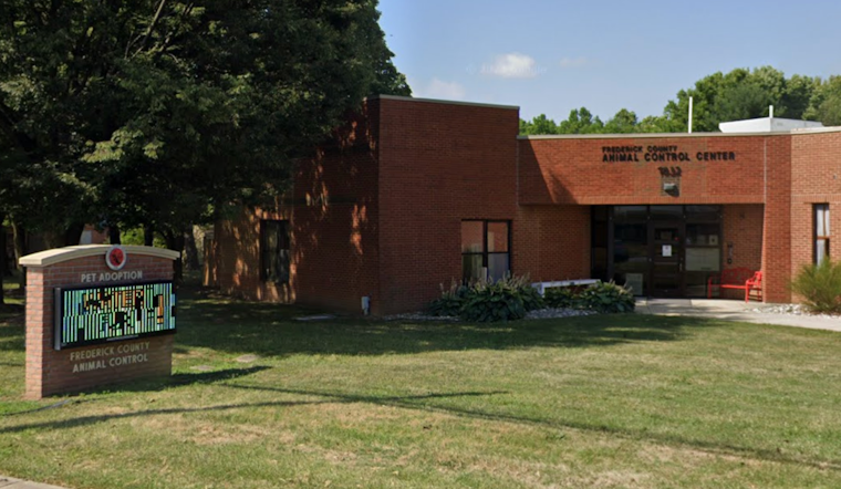 Frederick's Revamped Pet Adoption Center Opens With Cage-Free Cat Rooms and Surgery Suites