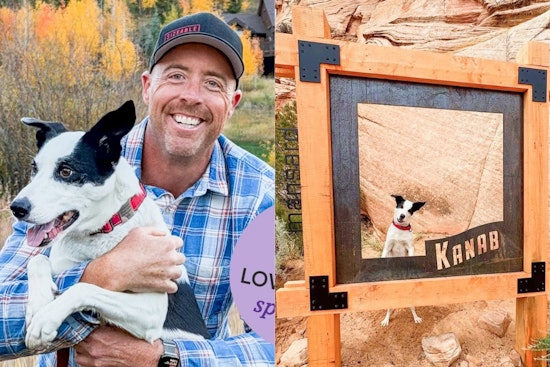 Frisco Shelter Dog's 23-State Road Trip With Andy Nets $20,000 Grant