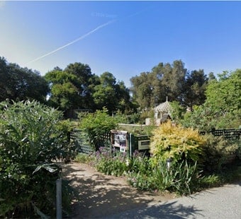 Gamble Garden Plans $8M Overhaul as Palo Alto Board Reviews Greenhouse Swap