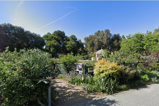 Gamble Garden Plans $8M Overhaul as Palo Alto Board Reviews Greenhouse Swap