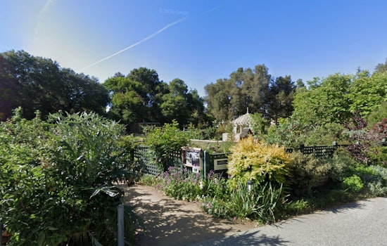 Gamble Garden Plans $8M Overhaul as Palo Alto Board Reviews Greenhouse Swap