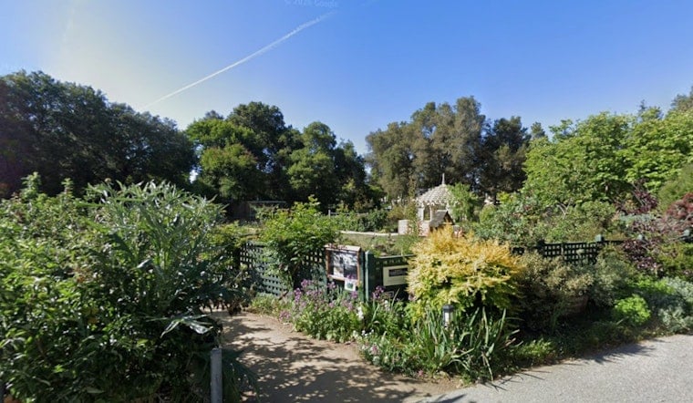 Gamble Garden Plans $8M Overhaul as Palo Alto Board Reviews Greenhouse Swap