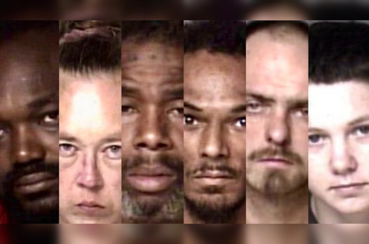Gastonia Flock Alert Leads To Six Arrests And Dog Rescue