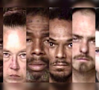 Gastonia Flock Alert Leads To Six Arrests And Dog Rescue