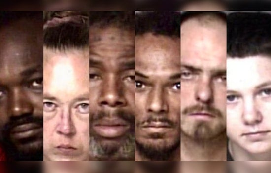 Gastonia Flock Alert Leads To Six Arrests And Dog Rescue
