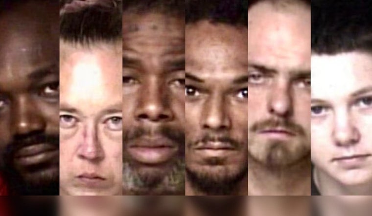 Gastonia Flock Alert Leads To Six Arrests And Dog Rescue