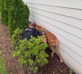 Gastonia’s Hero Hound K9 Bo Sniffs Out Missing 10-Year-Old Runaway in Belmont