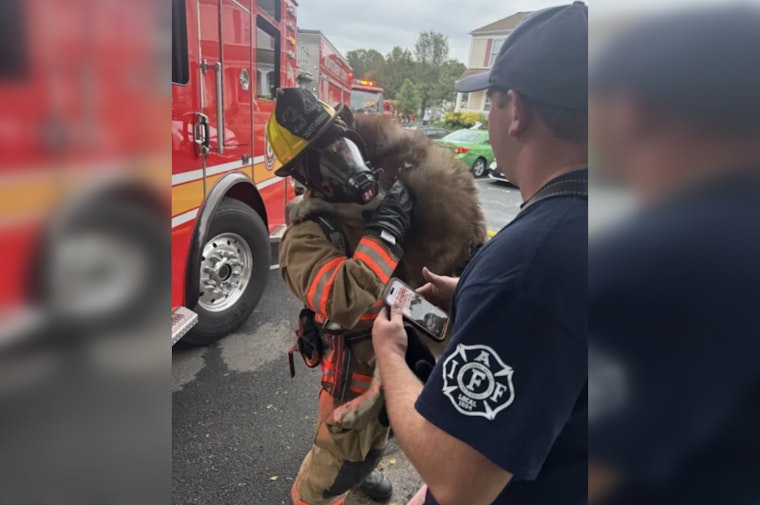 Germantown Kitchen Fire Displaces Homeowner, Firefighters Revive One of Two Rescued Dogs