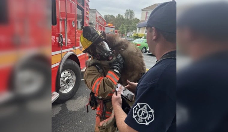 Germantown Kitchen Fire Displaces Homeowner, Firefighters Revive One of Two Rescued Dogs