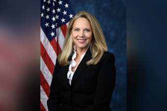 Gillen Mailers Blame Driscoll for $42M Hempstead Tax Hike She Can't Set