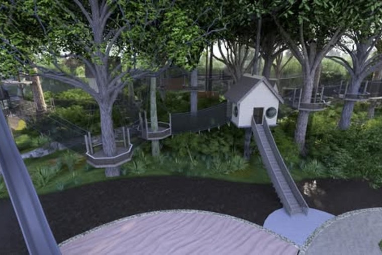 Go Ape Ziplines Land in Cedar Hill Midtown as Cinemark Pours In $9M