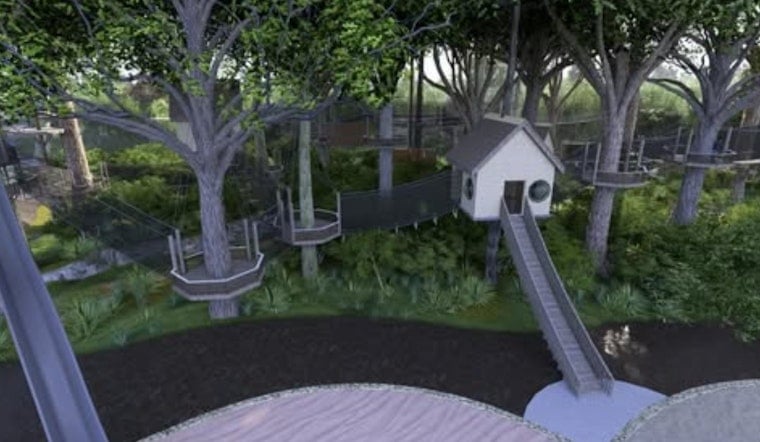 Go Ape Ziplines Land in Cedar Hill Midtown as Cinemark Pours In $9M