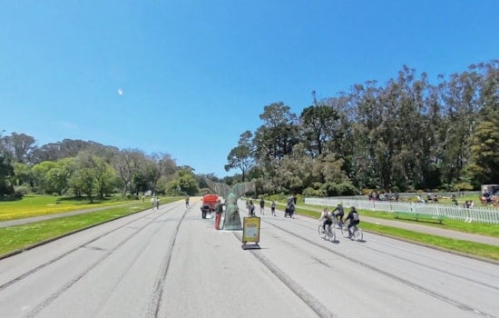 Golden Gate Park's Whale's Tail Bar Turns This Weekend Into a Giant Game Night