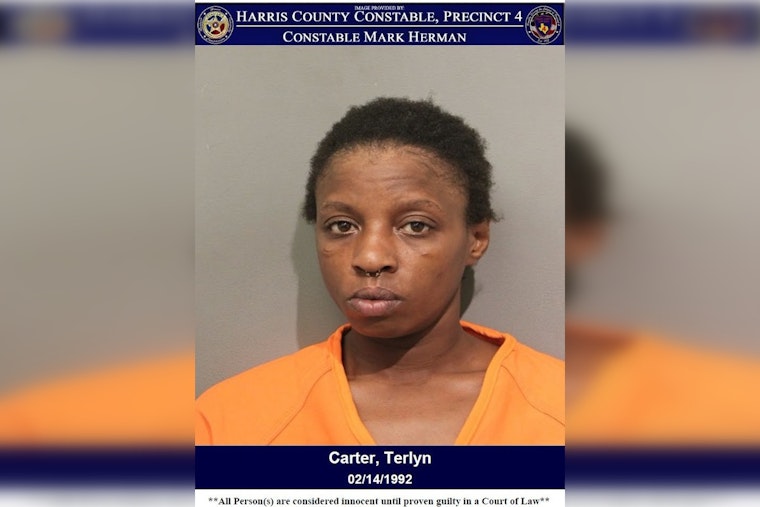 Greenspoint Woman Nabbed With Brass Knuckles, Now Faces Felony Assault Charge