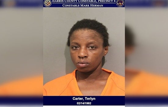 Greenspoint Woman Nabbed With Brass Knuckles, Now Faces Felony Assault Charge