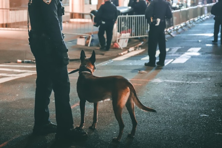 Greenville K9 Scooby Sniffs Out Hidden Phones to Crack Child Exploitation Cases