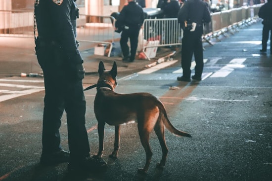Greenville K9 Scooby Sniffs Out Hidden Phones to Crack Child Exploitation Cases