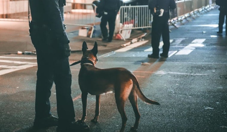Greenville K9 Scooby Sniffs Out Hidden Phones to Crack Child Exploitation Cases